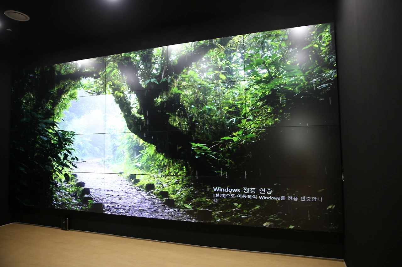 MG0A3243_новый размер.JPG