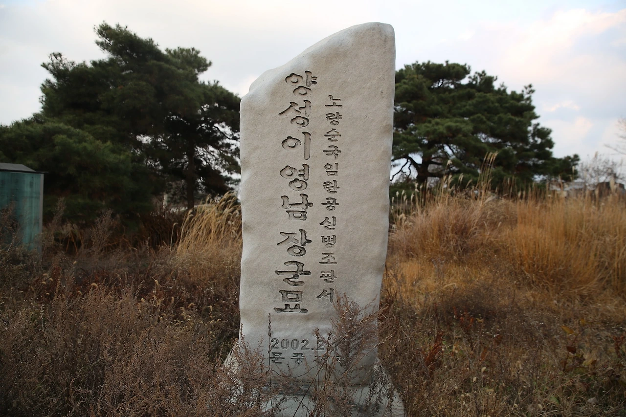 MG0A1328_новый размер.JPG