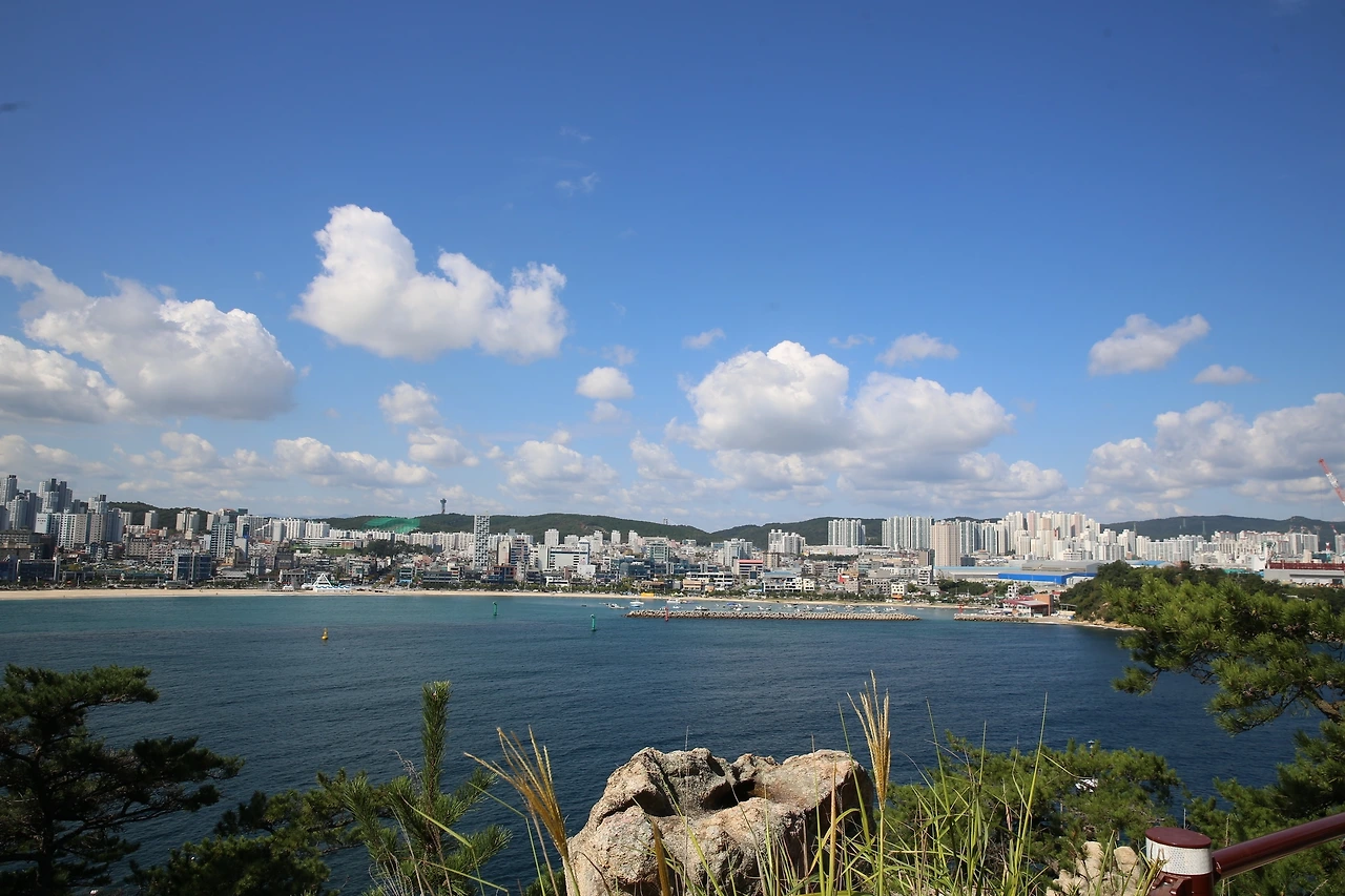 MG0A3878_новый размер.JPG