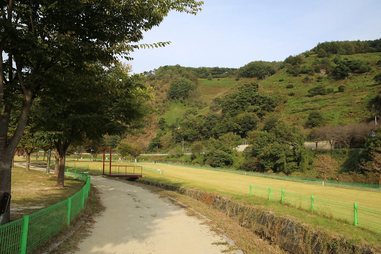 MG0A5865_новый размер.JPG