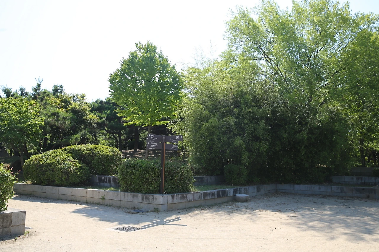 MG0A8993_новый размер.JPG