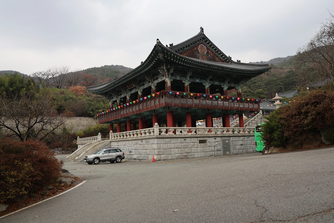 0R5A3822_новый размер.JPG