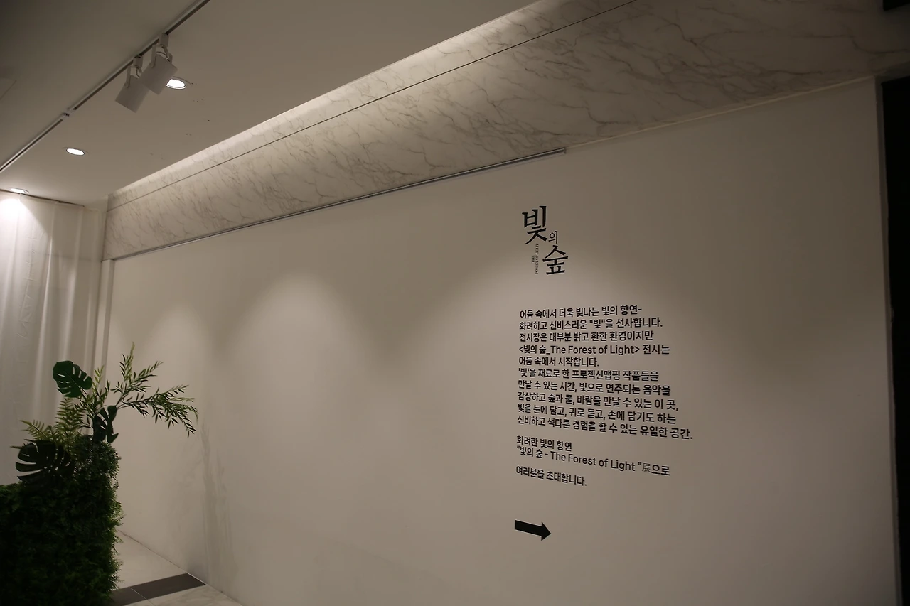 MG0A3565_новый размер.JPG