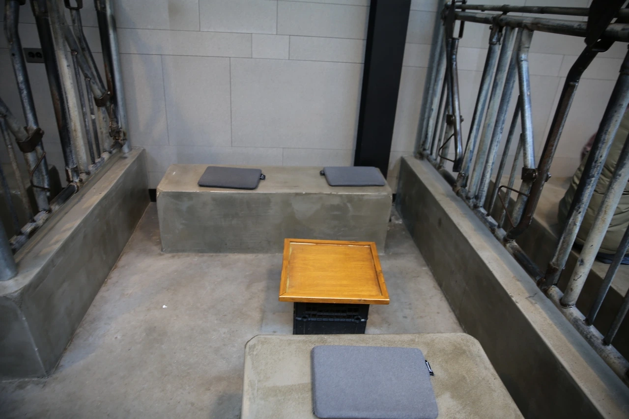 MG0A3438_новый размер.JPG