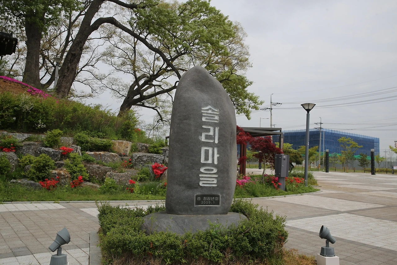 MG0A0521_новый размер.JPG