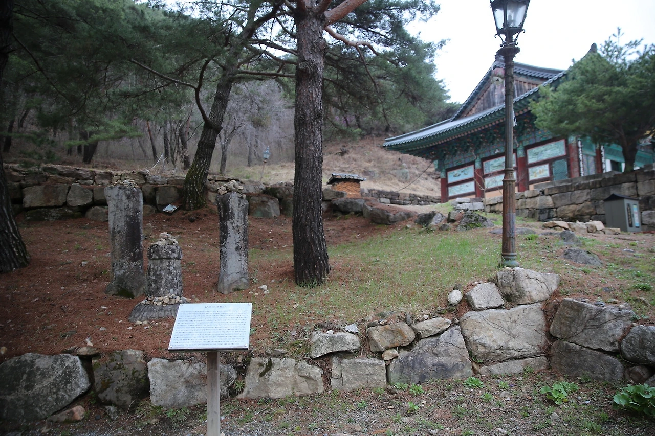 MG0A8464_новый размер.JPG