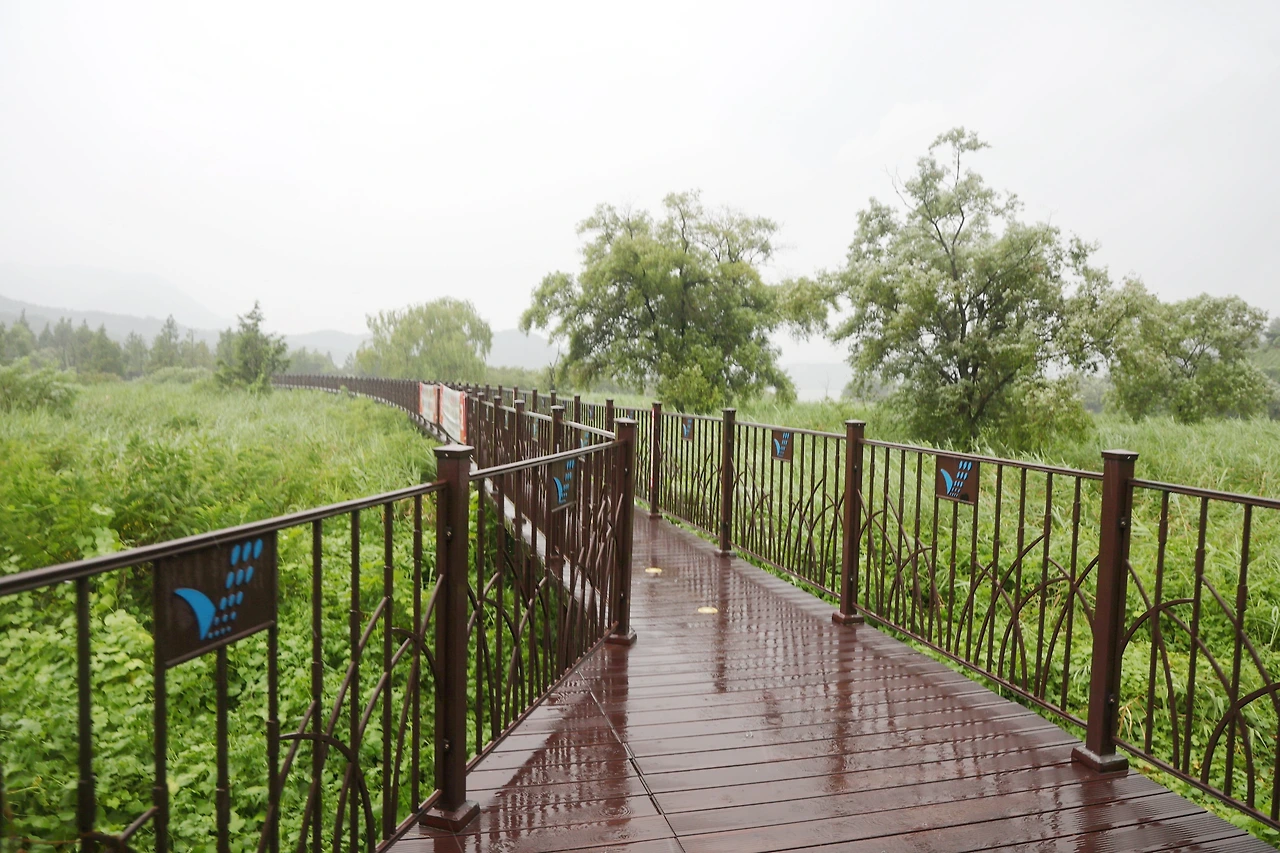 0R5A0824_новый размер_exposure.JPG