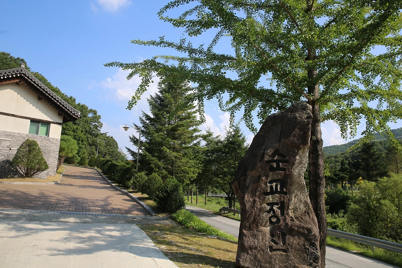 MG0A0501_новый размер.JPG