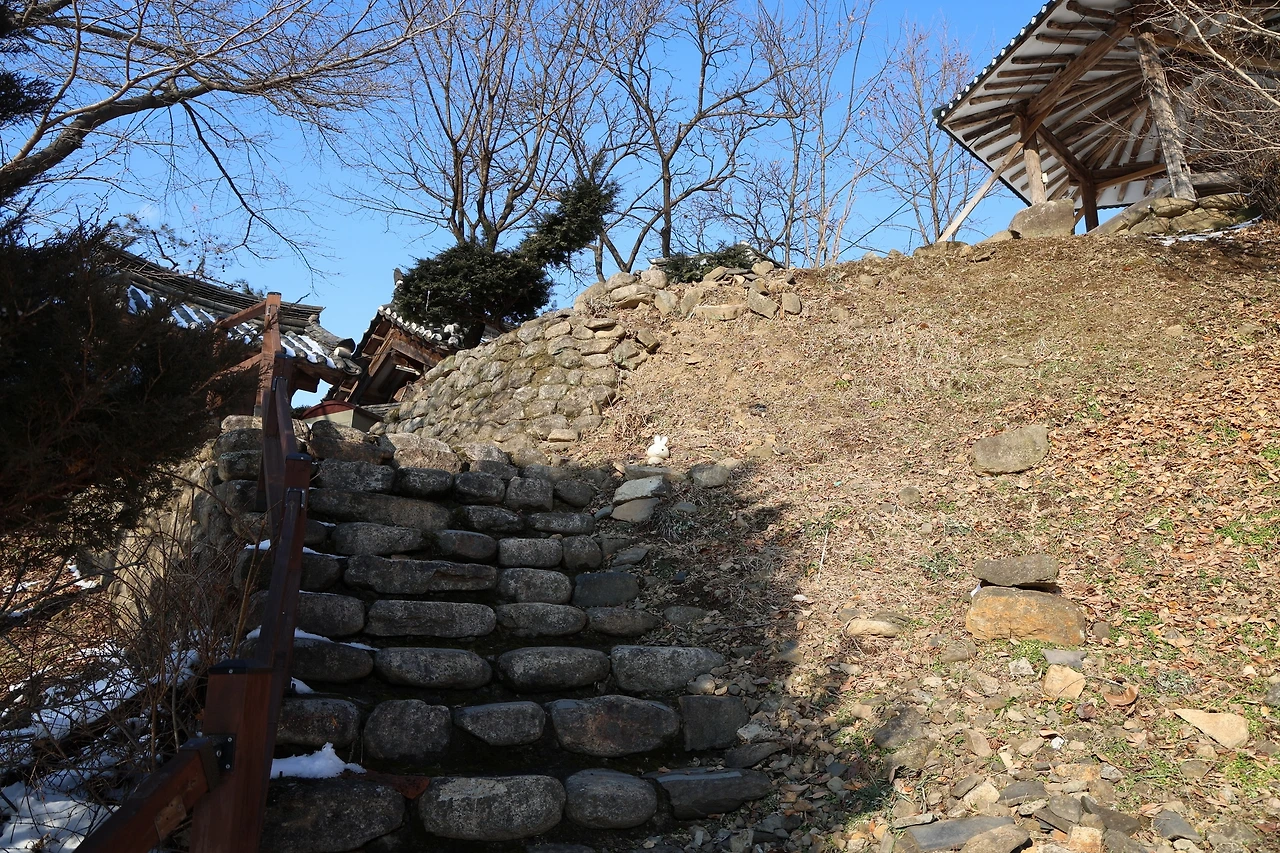 0R5A8170_новый размер.JPG