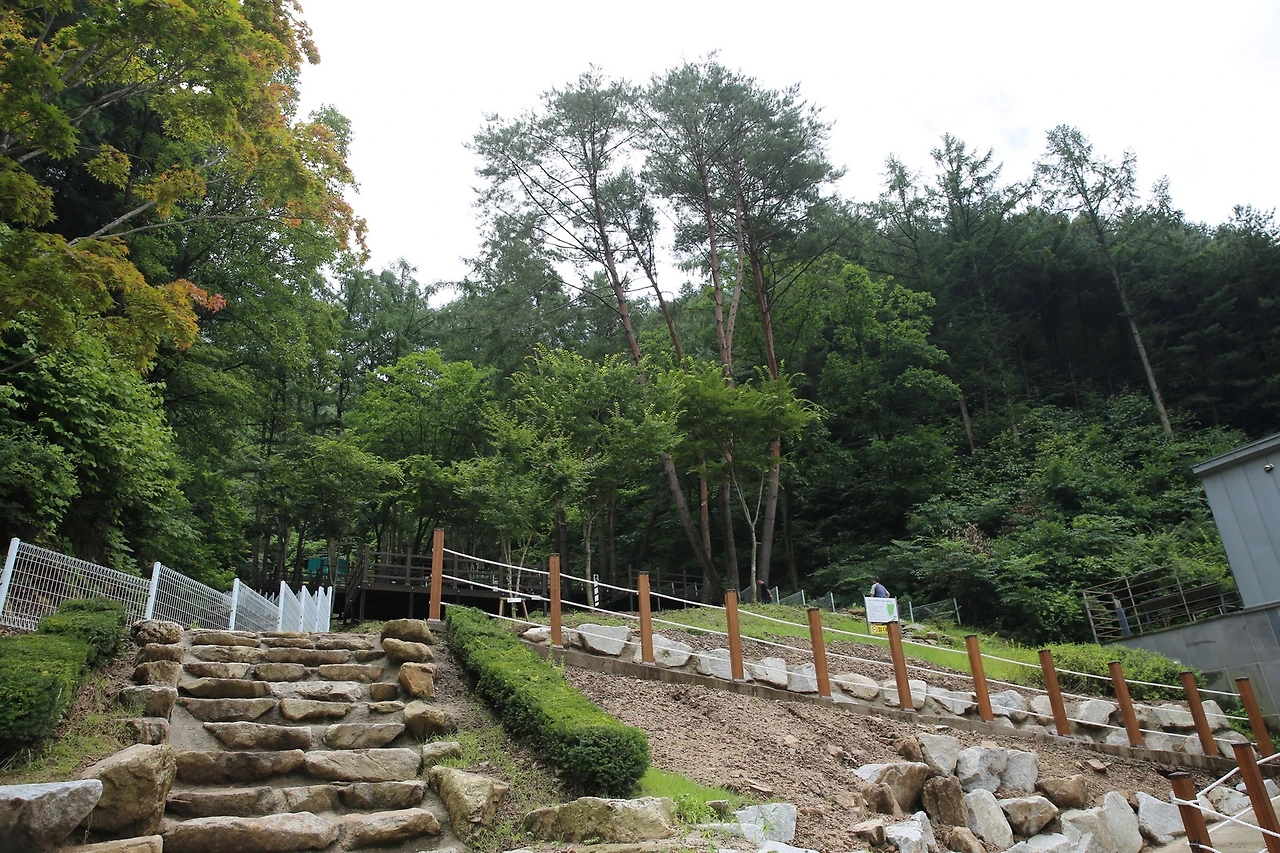 MG0A6557_новый размер.JPG