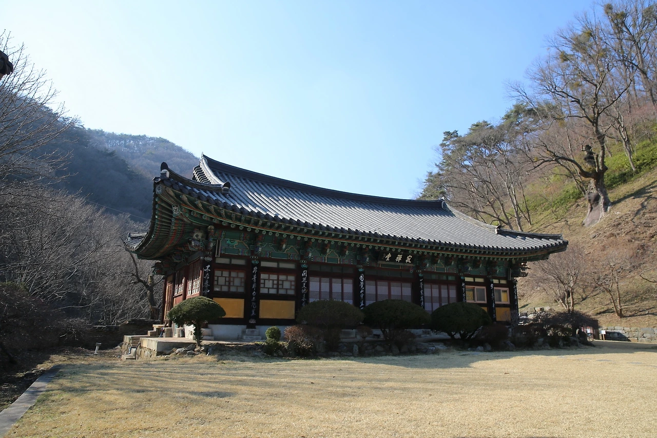 MG0A4392_новый размер.JPG