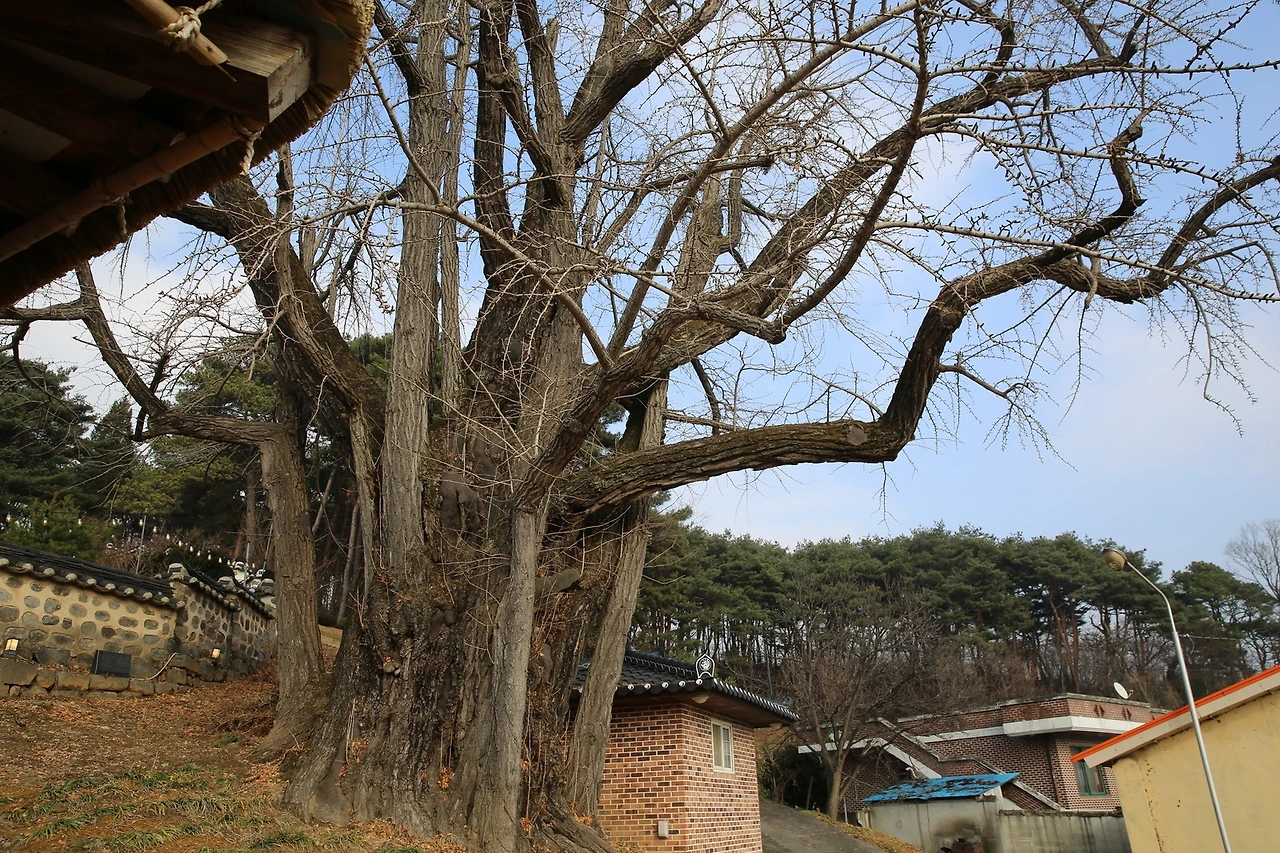 MG0A5338_новый размер.JPG