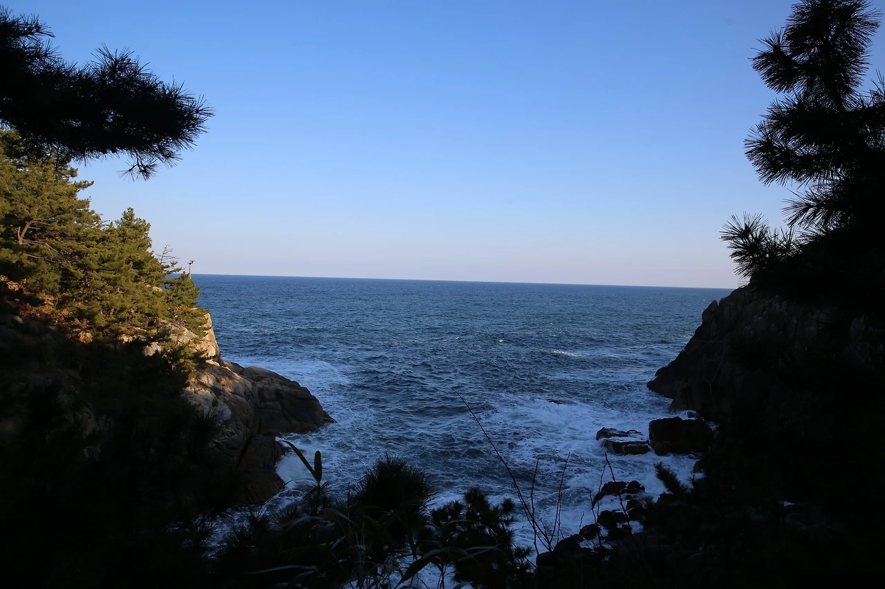 MG0A6632_новый размер.JPG