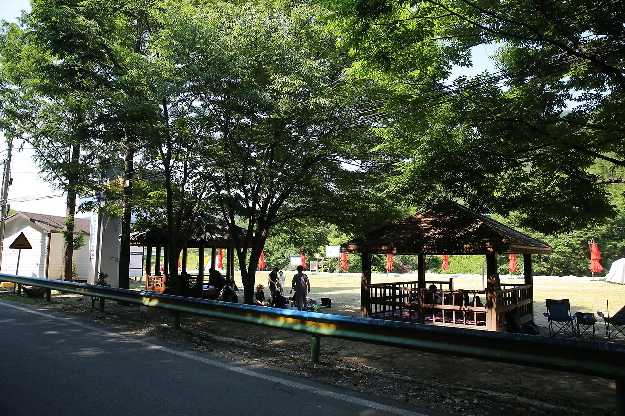 MG0A1536_новый размер.JPG