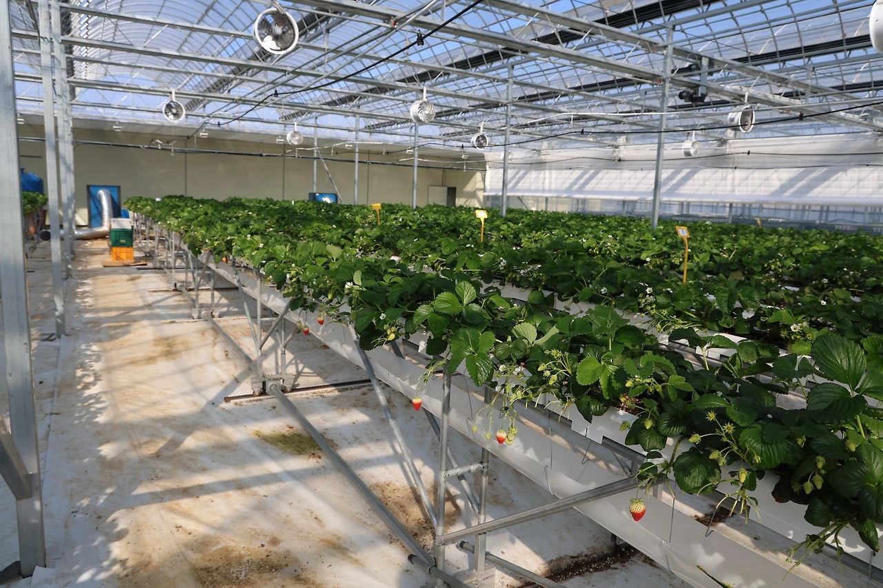 0R5A2689_новый размер.JPG