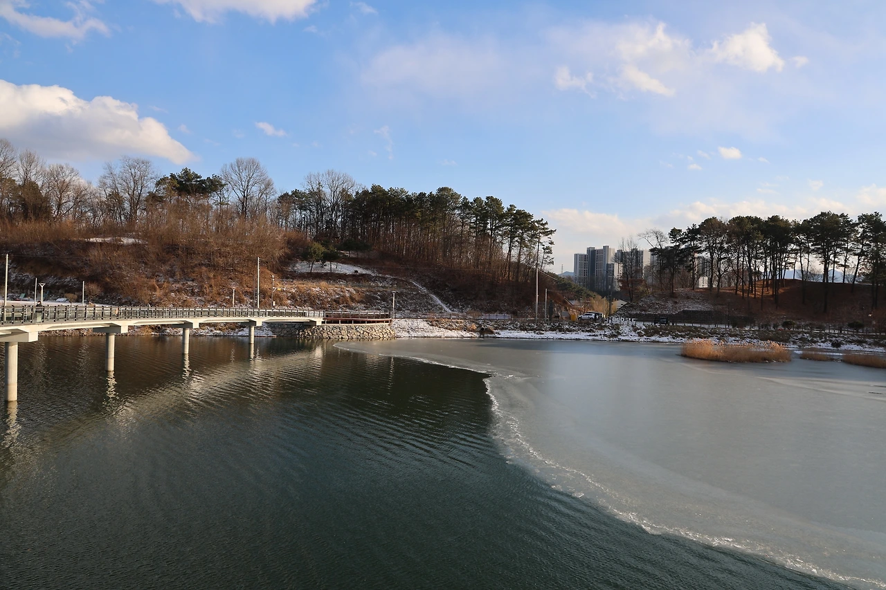 0R5A8039_новый размер.JPG