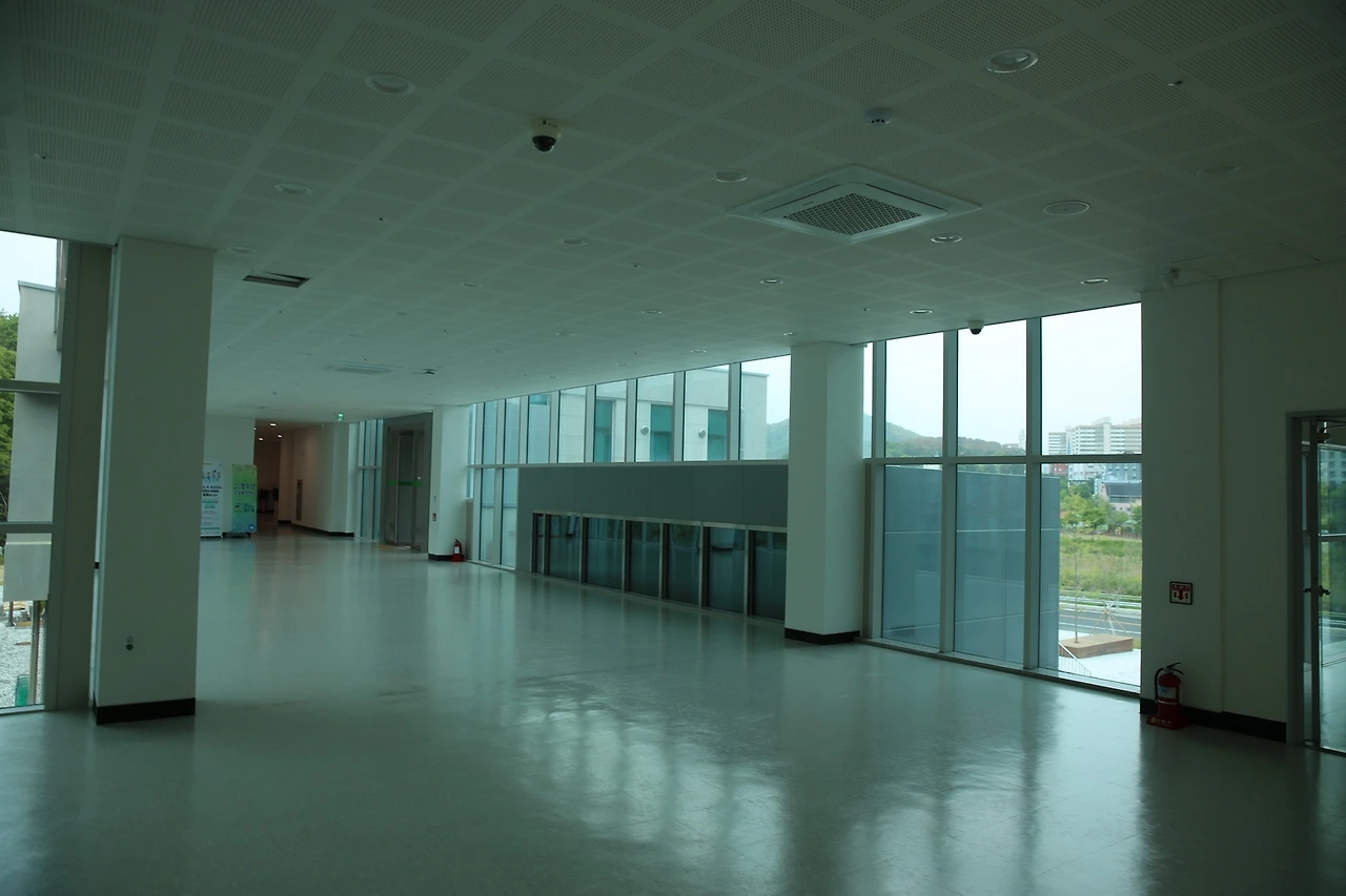 MG0A1388_новый размер.JPG