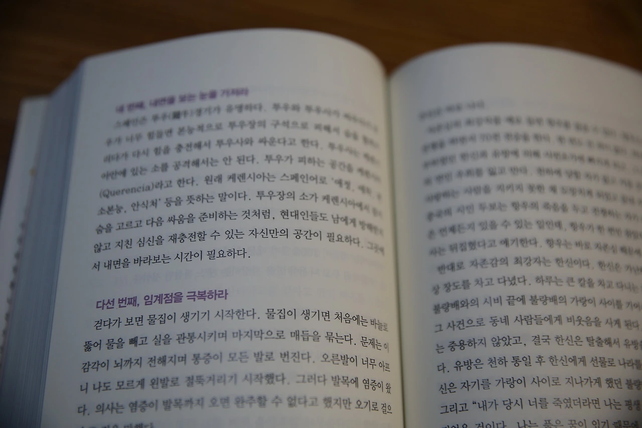 MG0A0426_новый размер.JPG