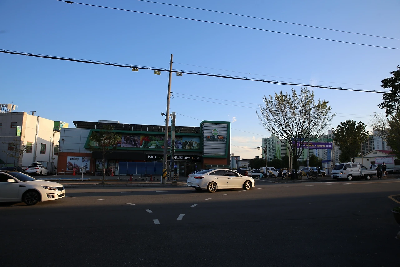 MG0A3004_новый размер.JPG