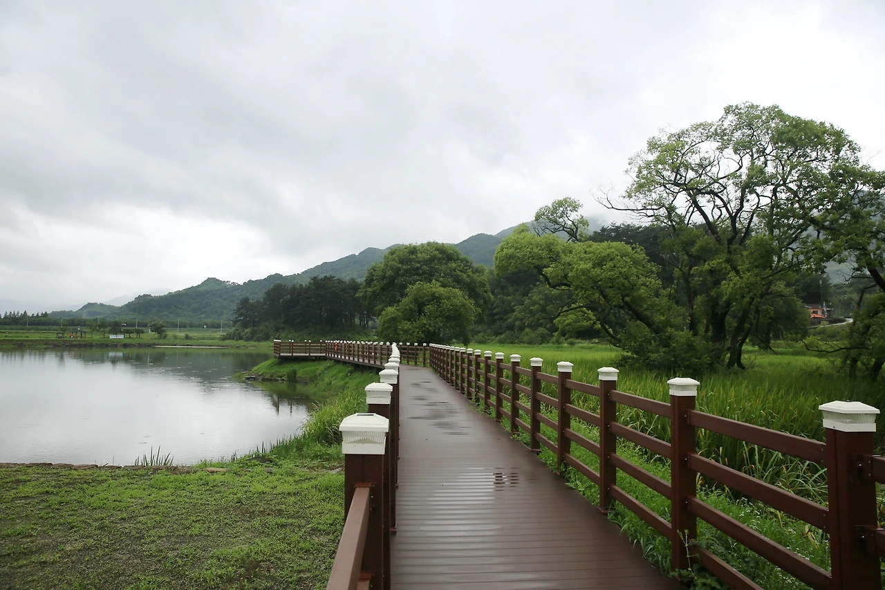 MG0A3520_новый размер_exposure.JPG