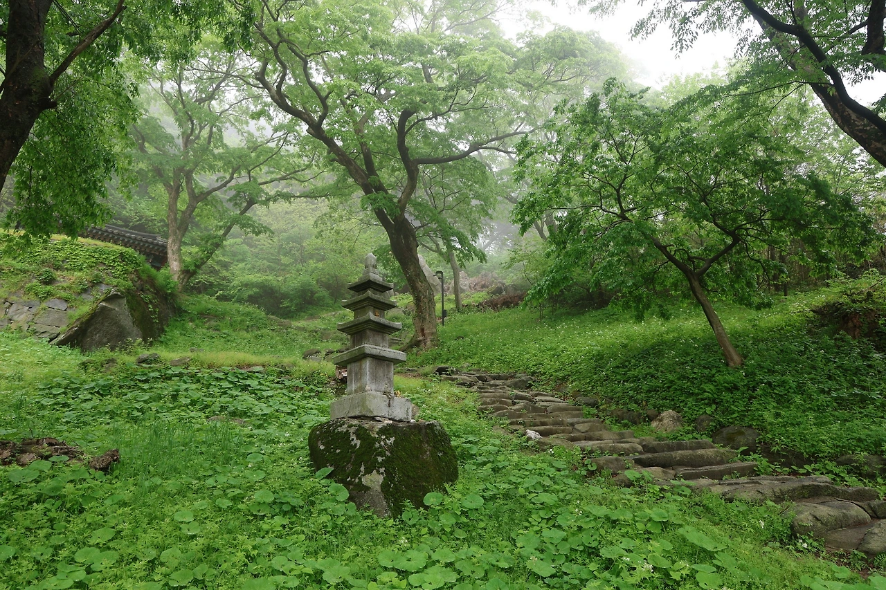 0R5A0785_новый размер.JPG