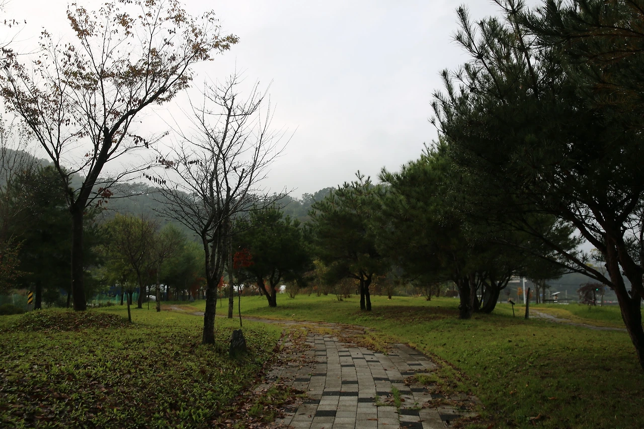 MG0A5563_новый размер.JPG