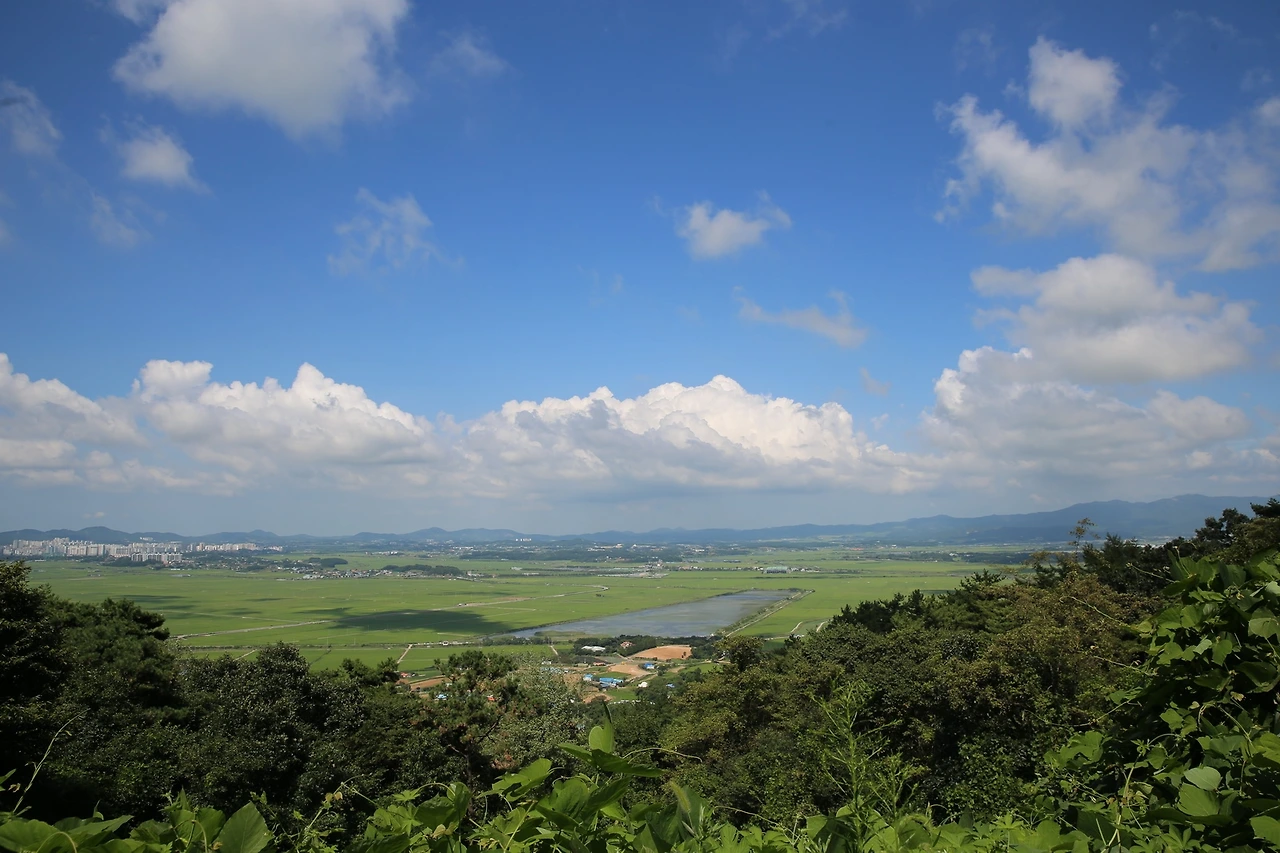 MG0A9241_новый размер.JPG