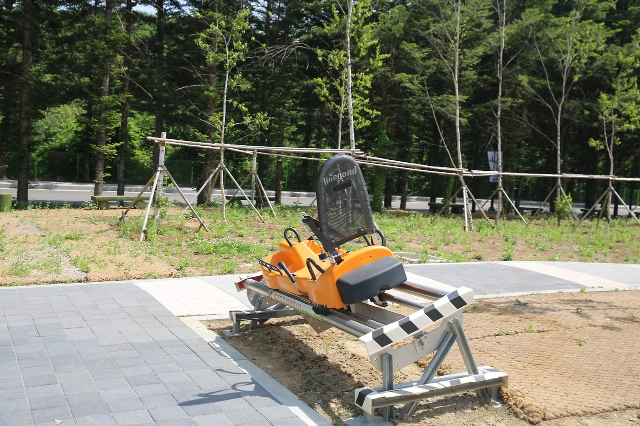 MG0A0919_новый размер.JPG