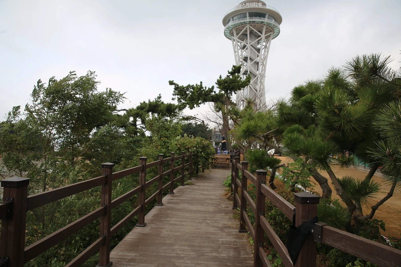 MG0A9323_новый размер.JPG