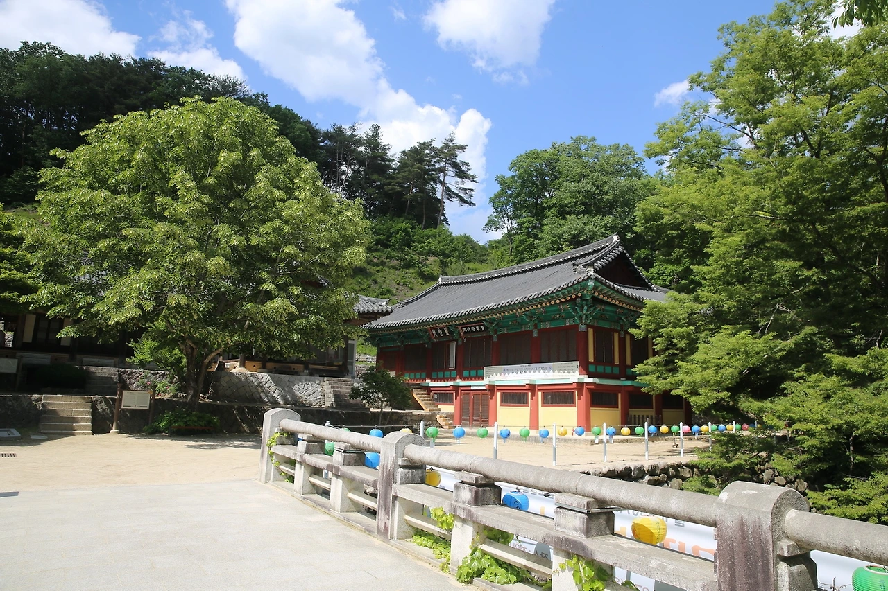 MG0A9391_новый размер.JPG