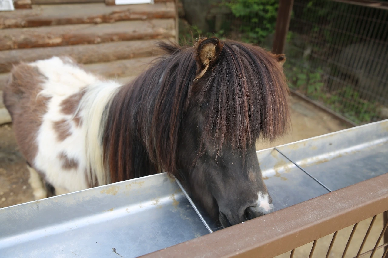 MG0A1046_новый размер.JPG