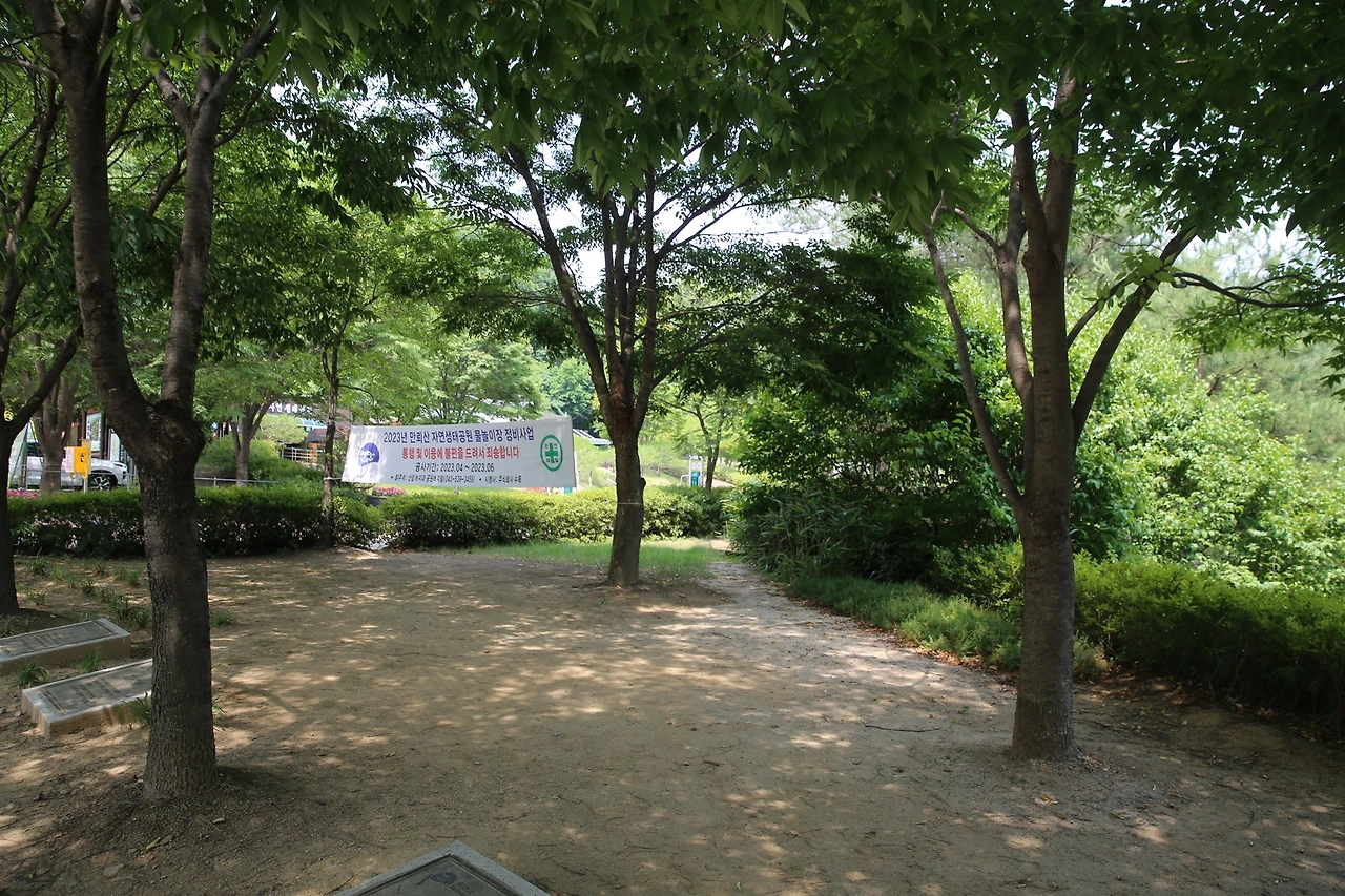 MG0A2409_новый размер.JPG