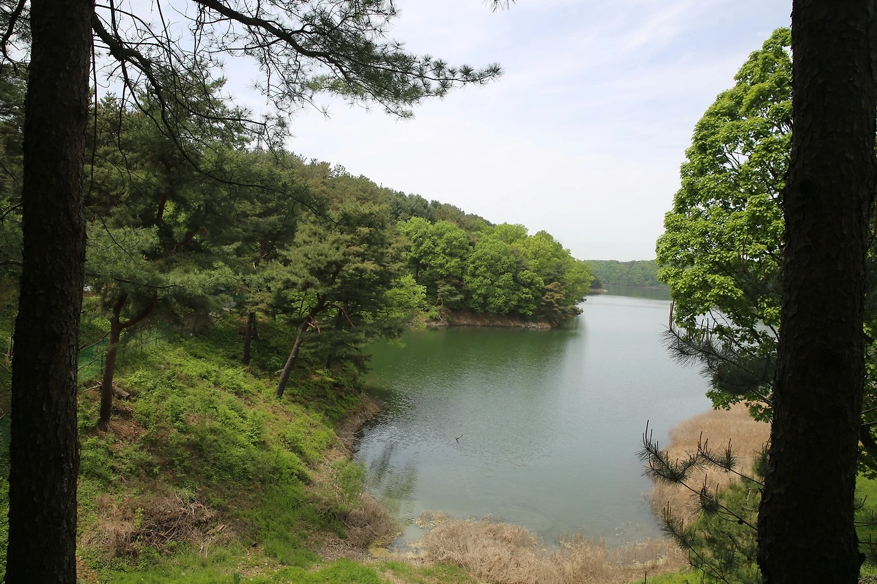 MG0A1101_новый размер.JPG