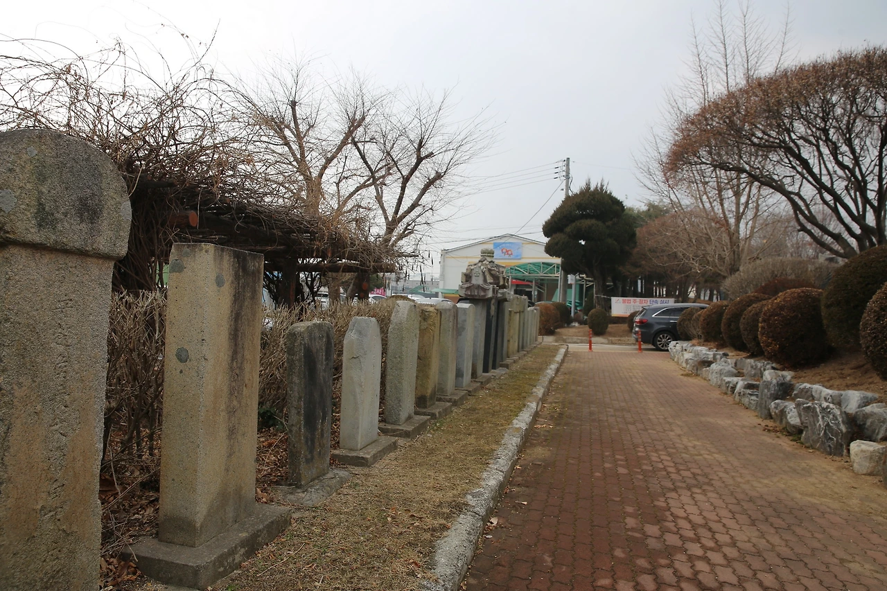 MG0A6742_новый размер.JPG