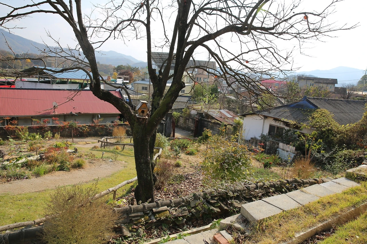 MG0A9927_новый размер.JPG