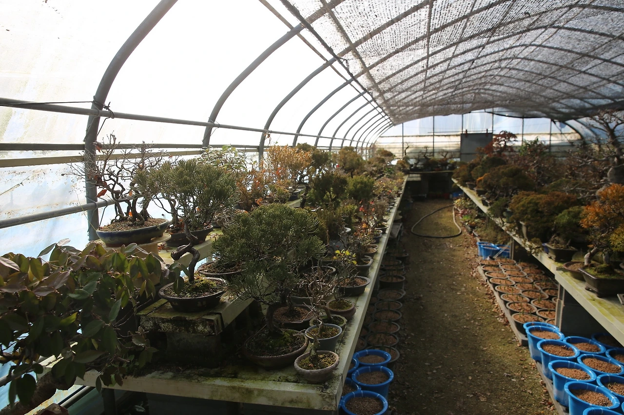 MG0A4787_новый размер.JPG