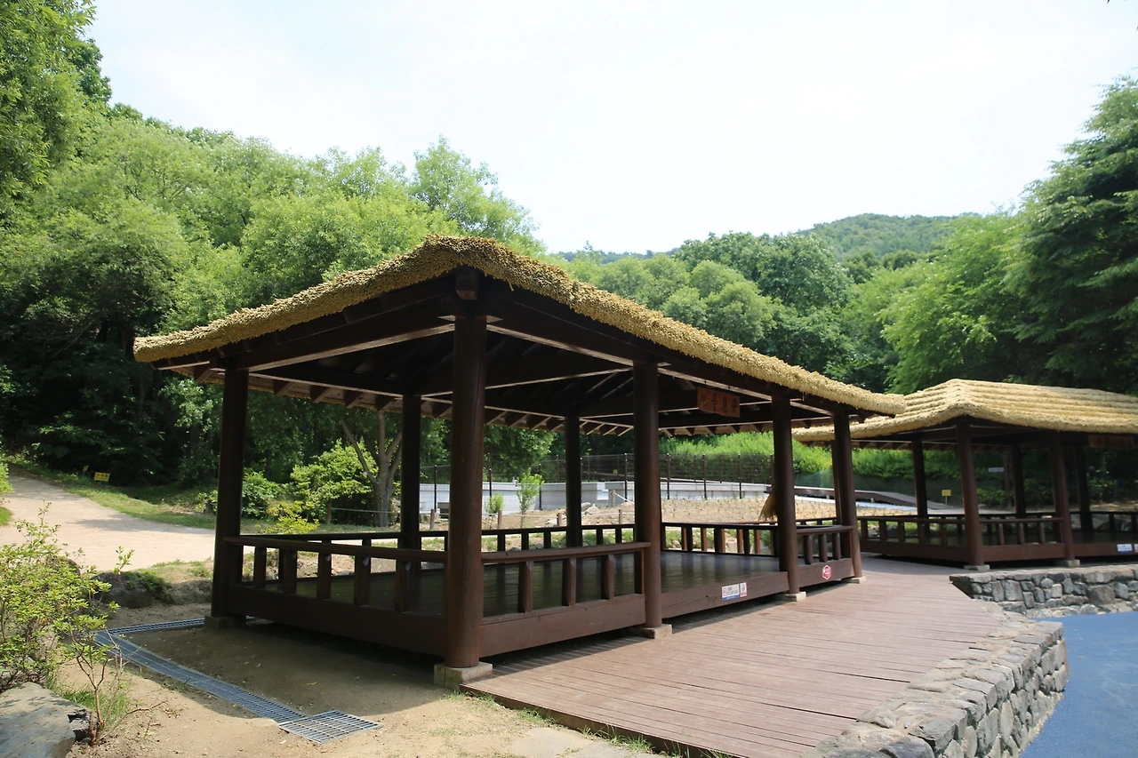 MG0A2417_новый размер.JPG