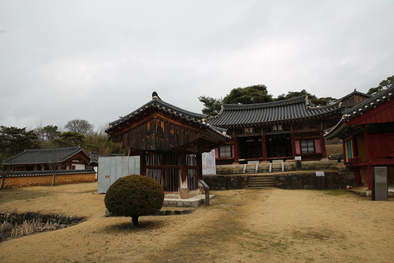 MG0A0462_новый размер.JPG