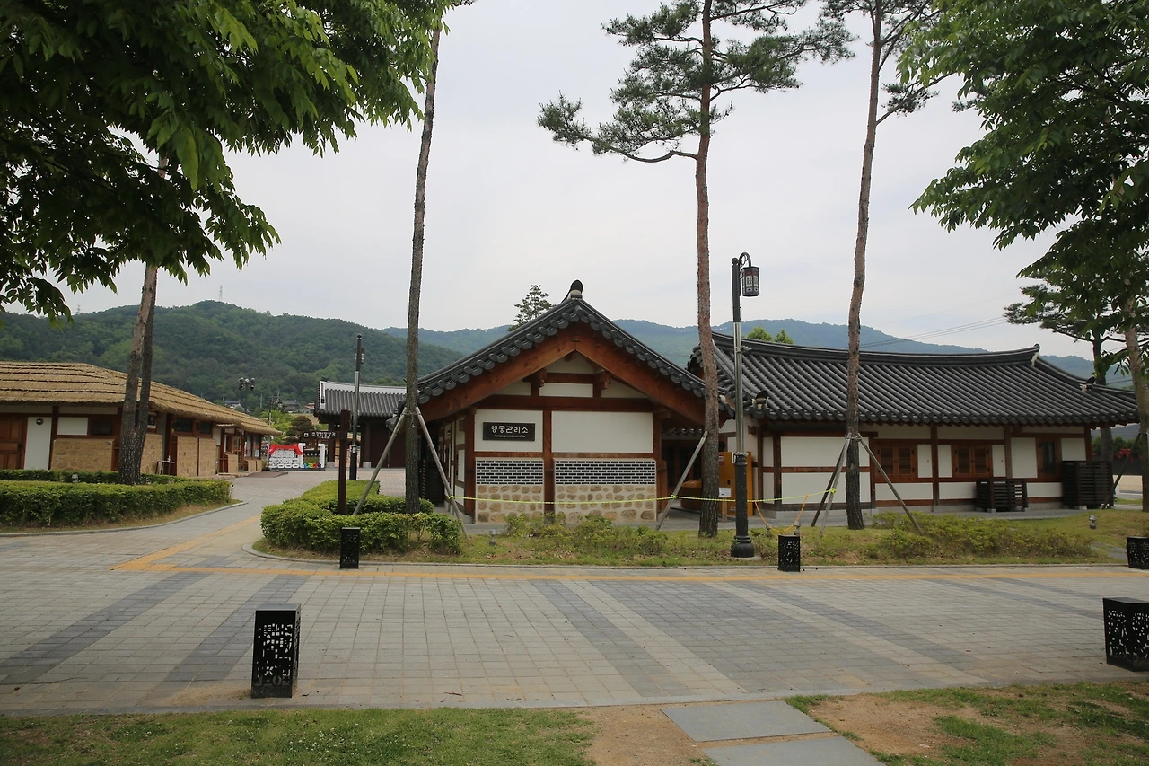 MG0A9576_новый размер.JPG