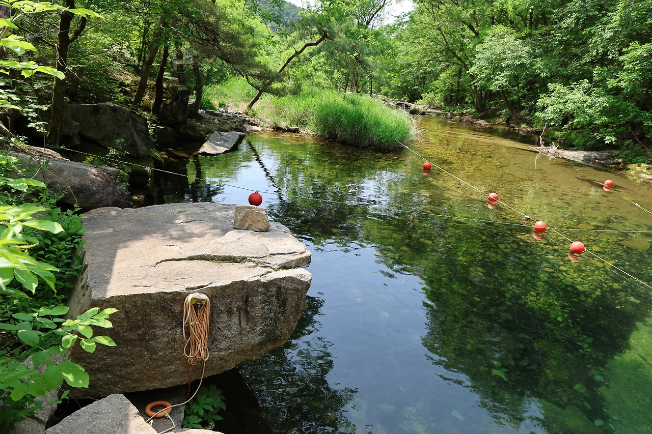 0R5A1384_новый размер.JPG