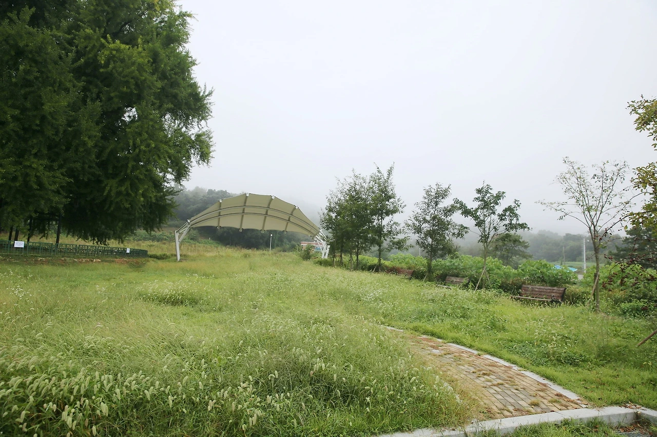 MG0A3571_новый размер_exposure.JPG