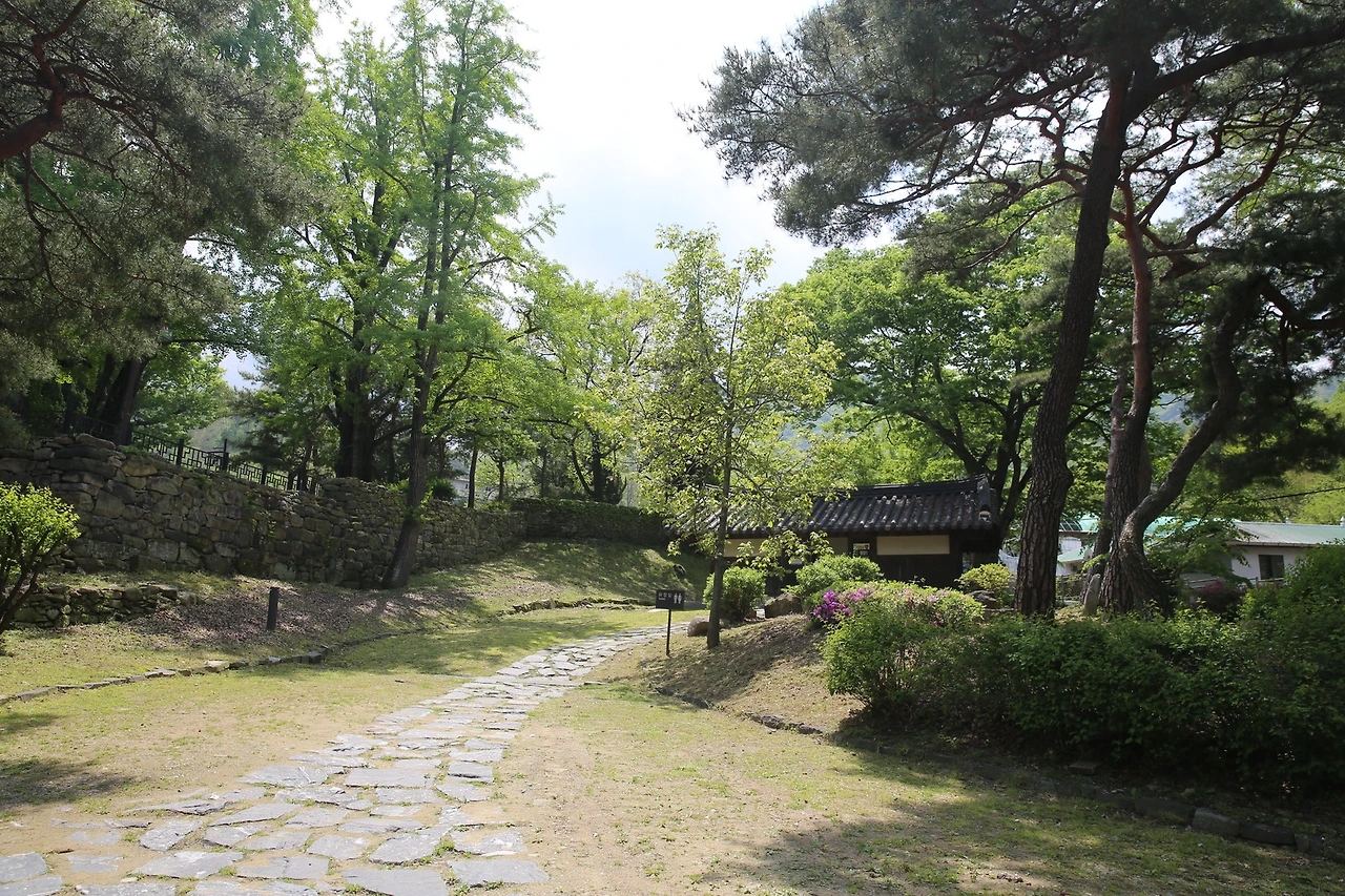 MG0A0853_новый размер.JPG