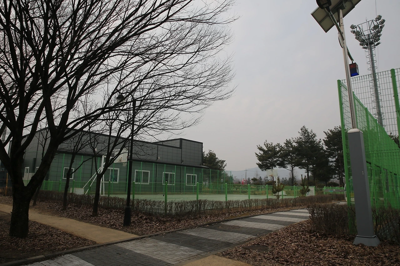 MG0A9048_новый размер.JPG