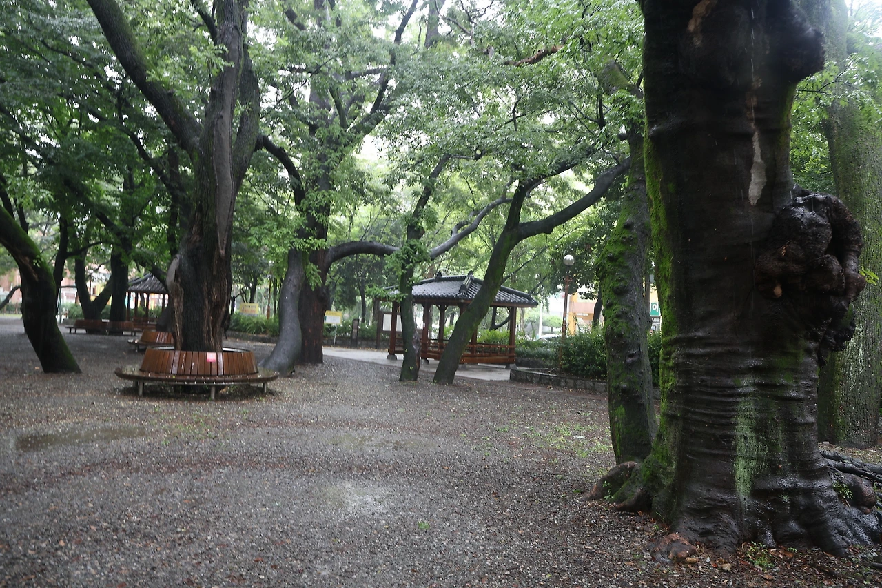 0R5A1444_новый размер.JPG