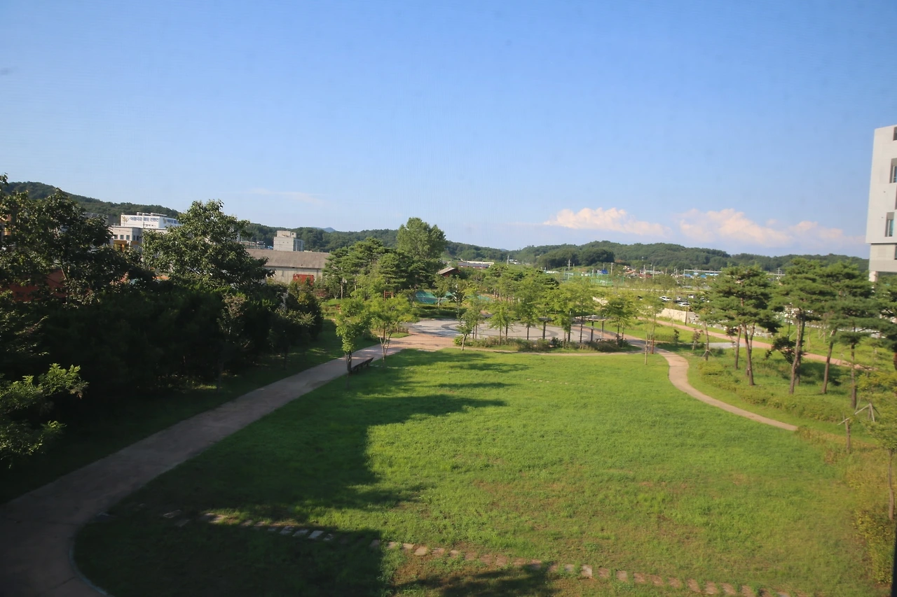 MG0A7622_новый размер.JPG