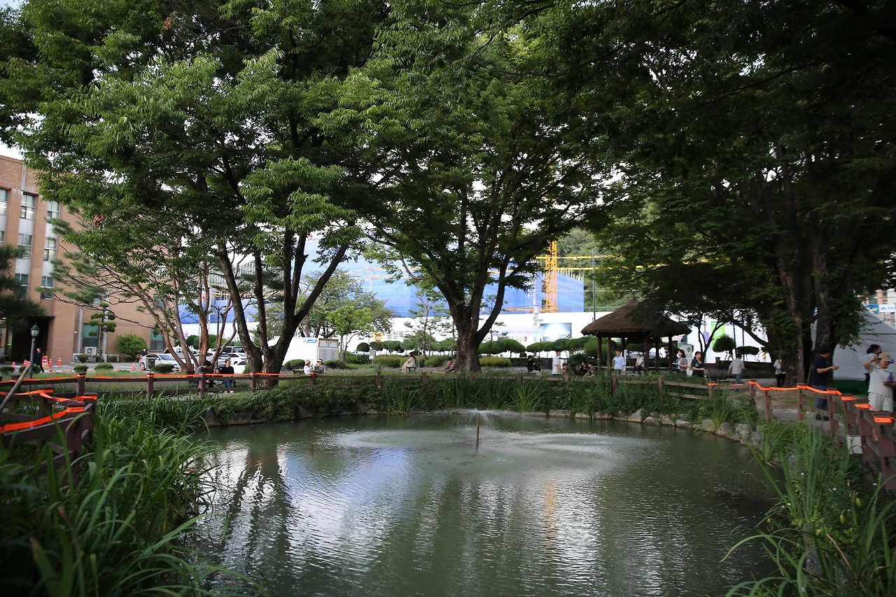 MG0A9178_новый размер.JPG