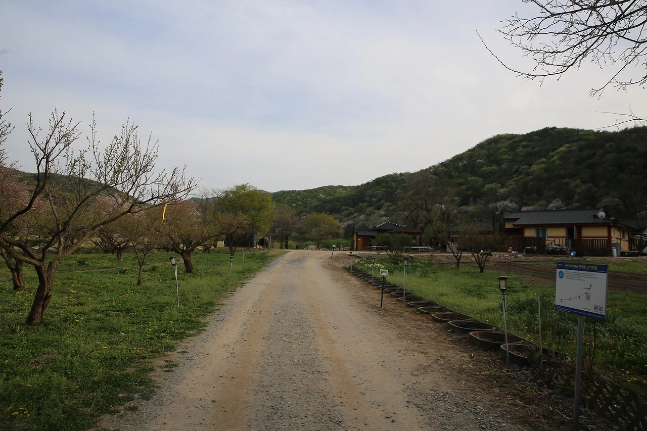 MG0A9481_новый размер.JPG