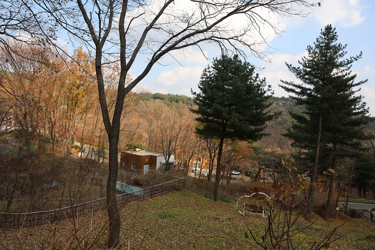 0R5A3096_новый размер.JPG