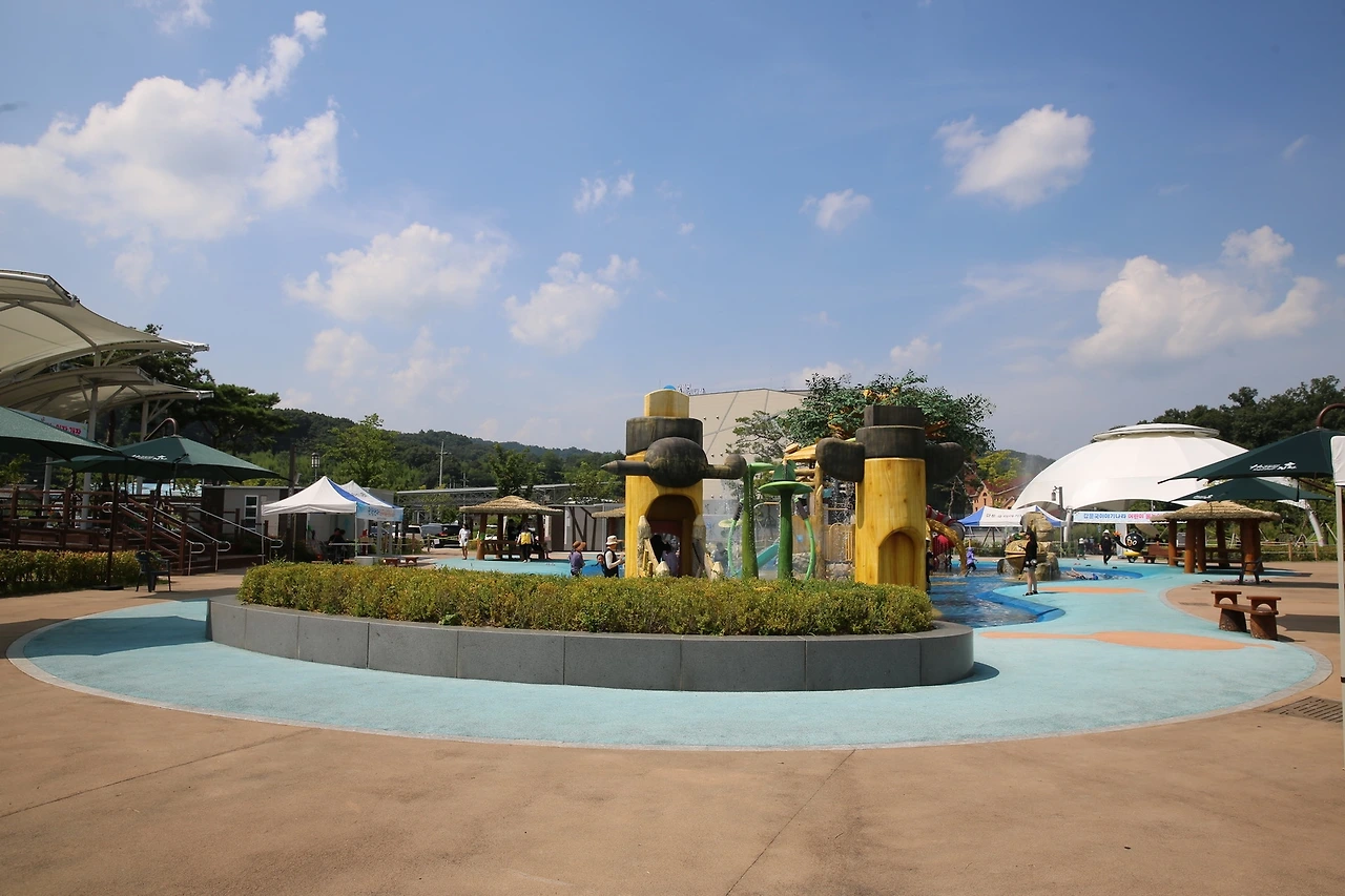 MG0A7324_новый размер.JPG