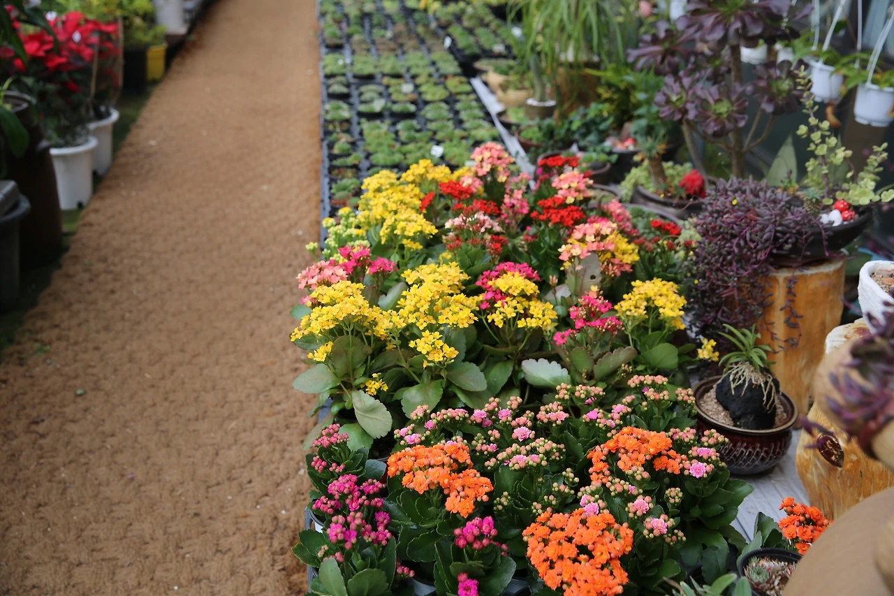 MG0A0649_новый размер.JPG